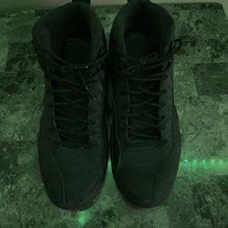 Air Jordan’s 12 retros winter