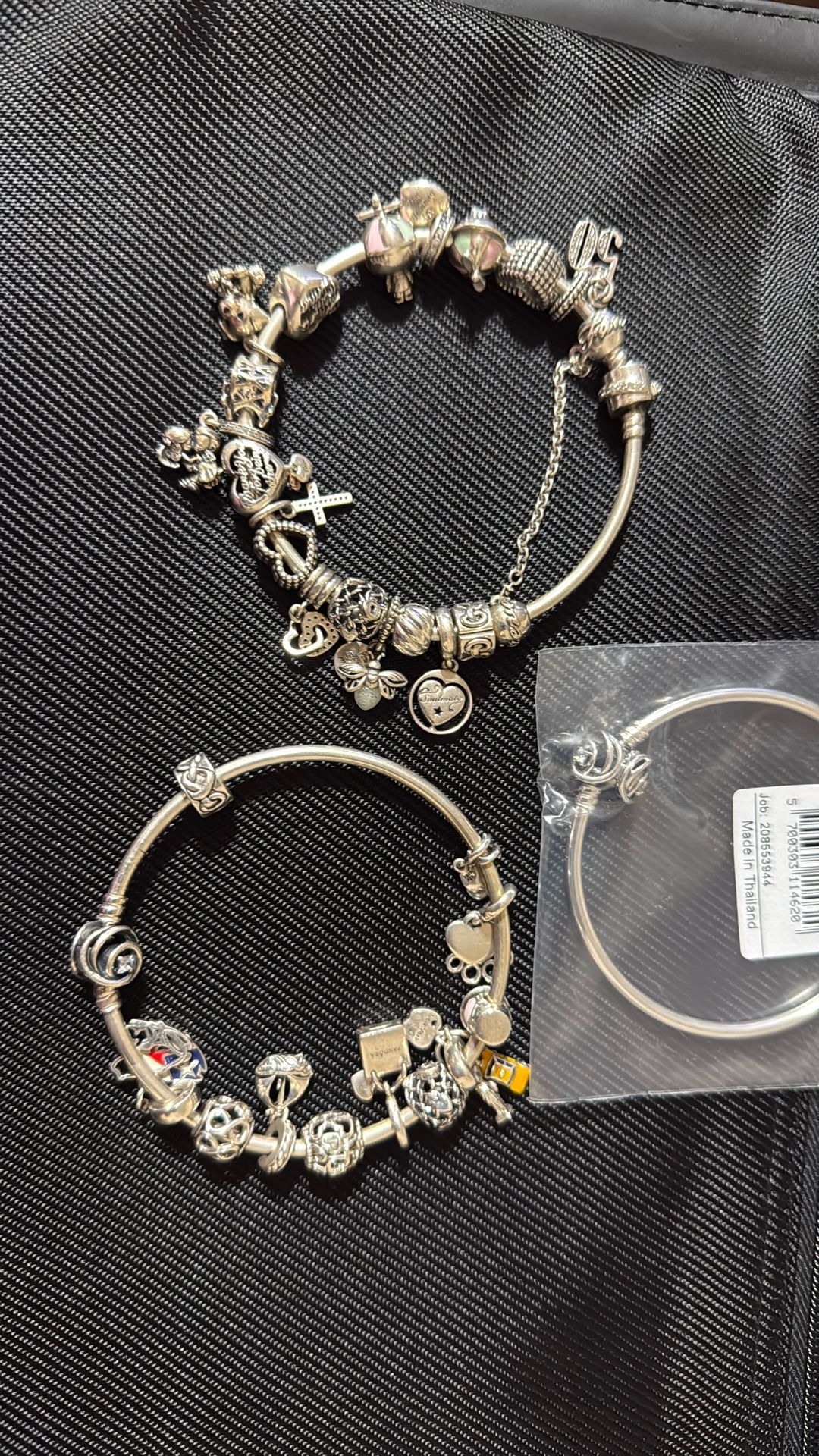 Pandora Bracelet and Charms