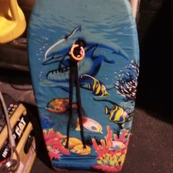 Marine Life Boogie Board