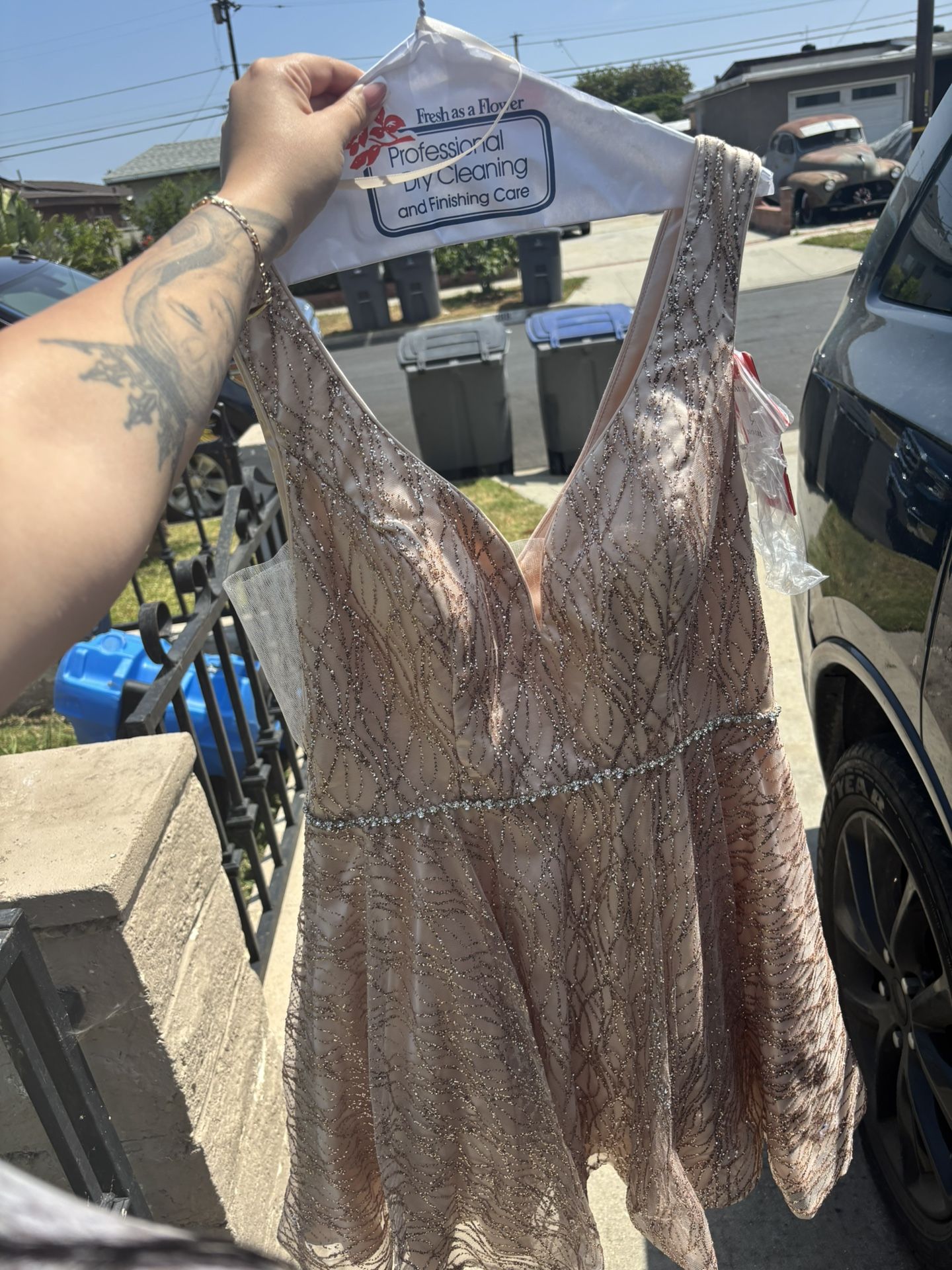 Brand New Blush Prom Dress
