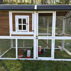 Chicken Coop