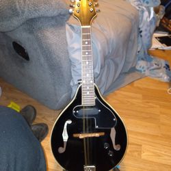 Ktone Mandolin