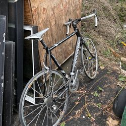 Cannondale Adult Bike