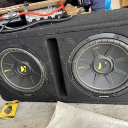 Dual 12in Kicker