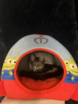 Disney Pixar Toy Story Pet Bed 
