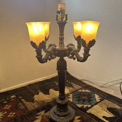 25 Inch PORTABLE LUMINAIRE Lamp 