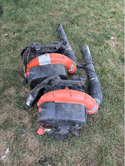 2 Echo Blowers