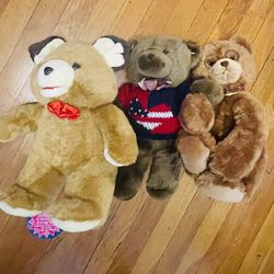 Teddy Bear 🧸 Bundle 
