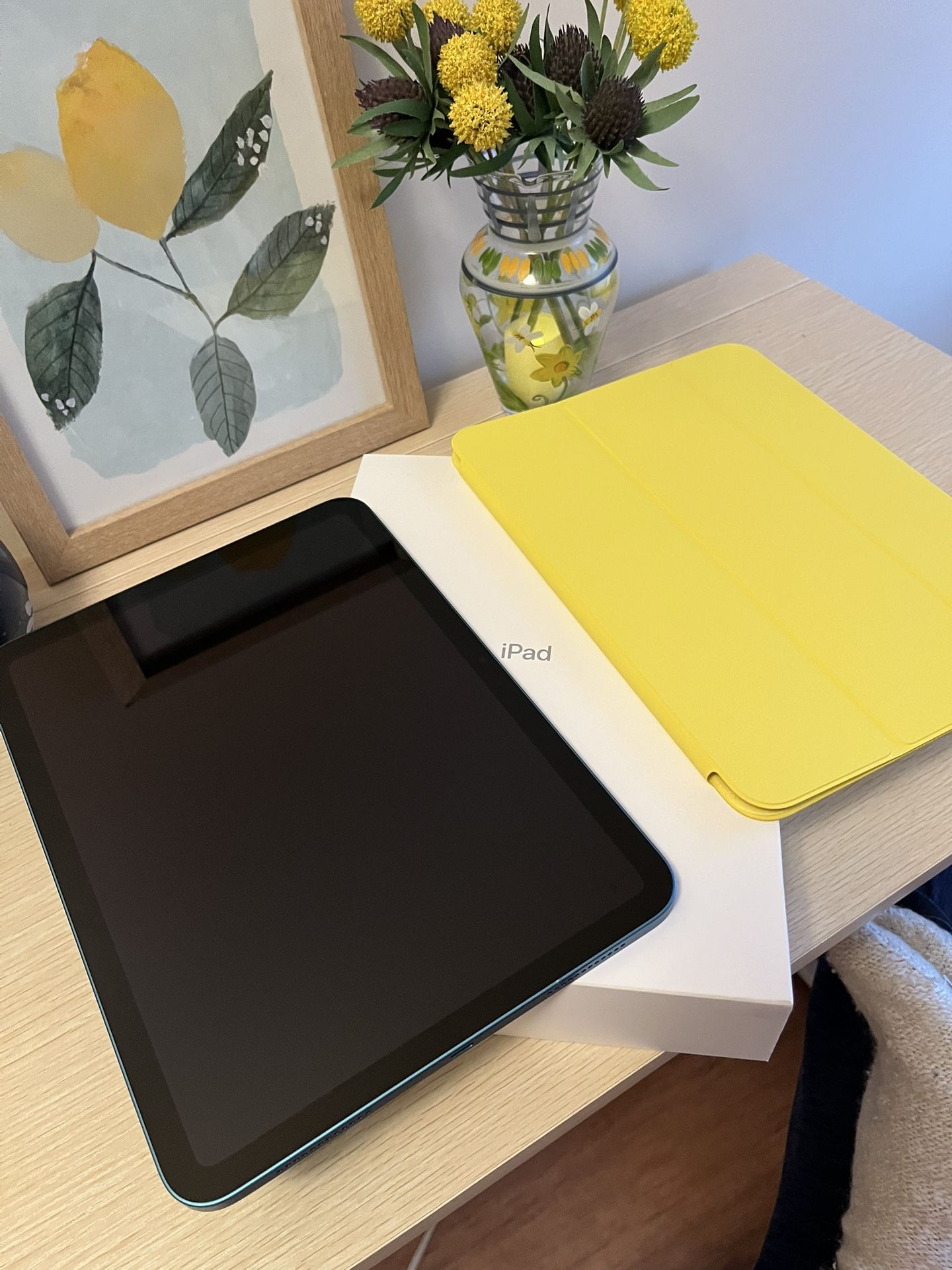 Brand New 10th Gen iPad 256GB / Blue