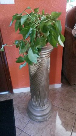 Plant Holder