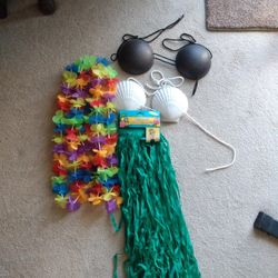 Hawaiian Costume