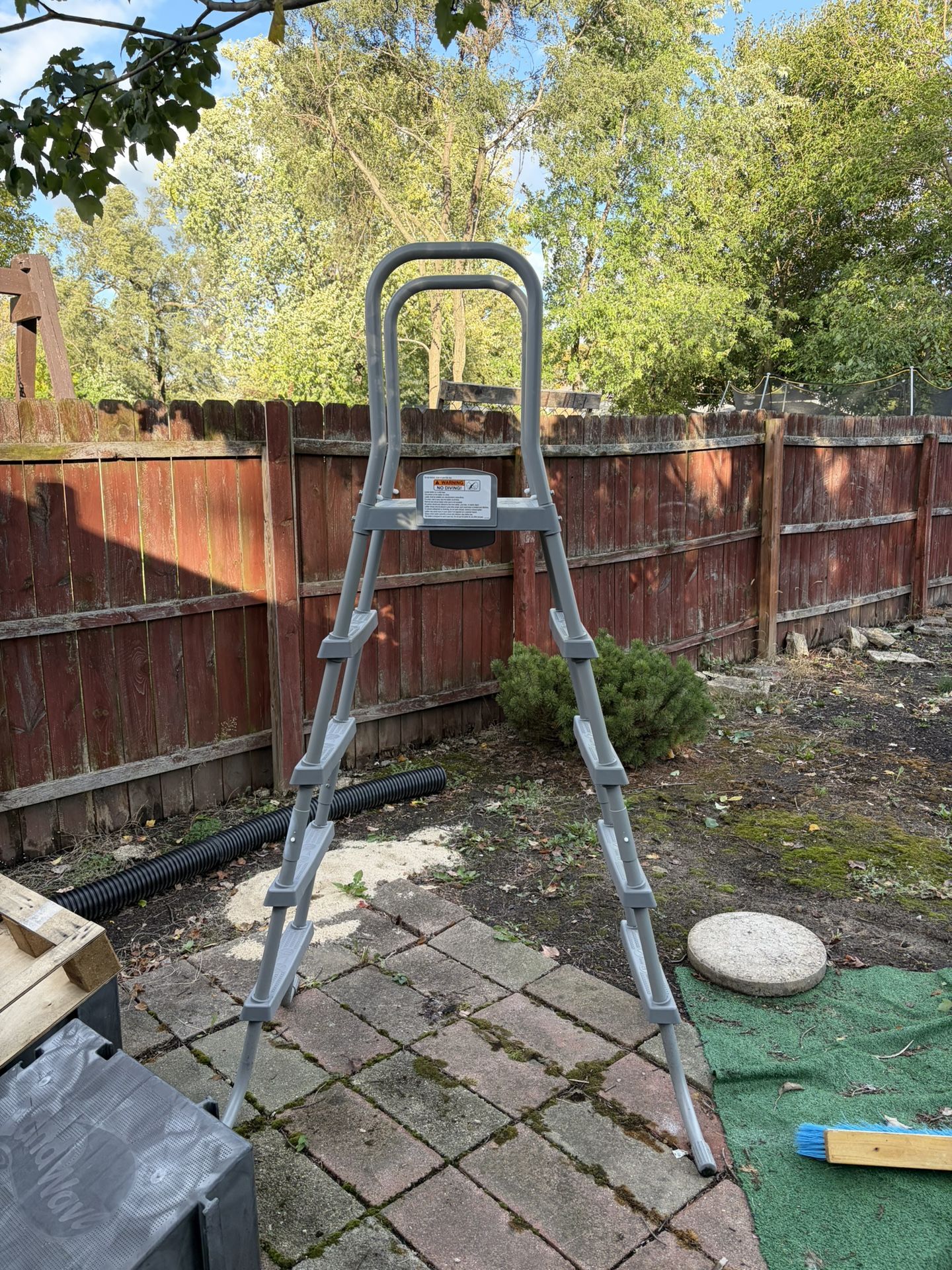Pool Ladder