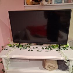 24 Inch Vizio TV 