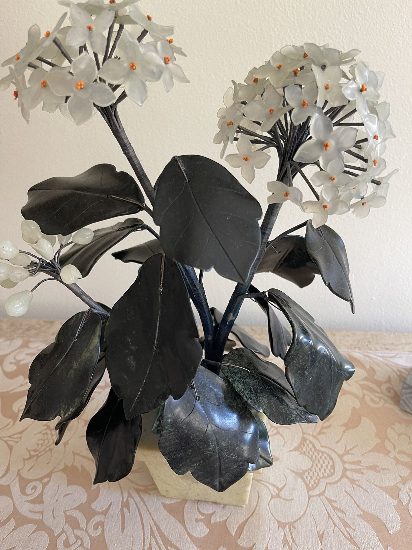 Bonsai Hoya Plant ( Crystal)