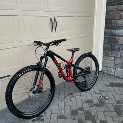 Mountain Bike Carbon