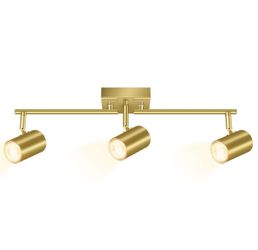 Light Fixture.        (6292)