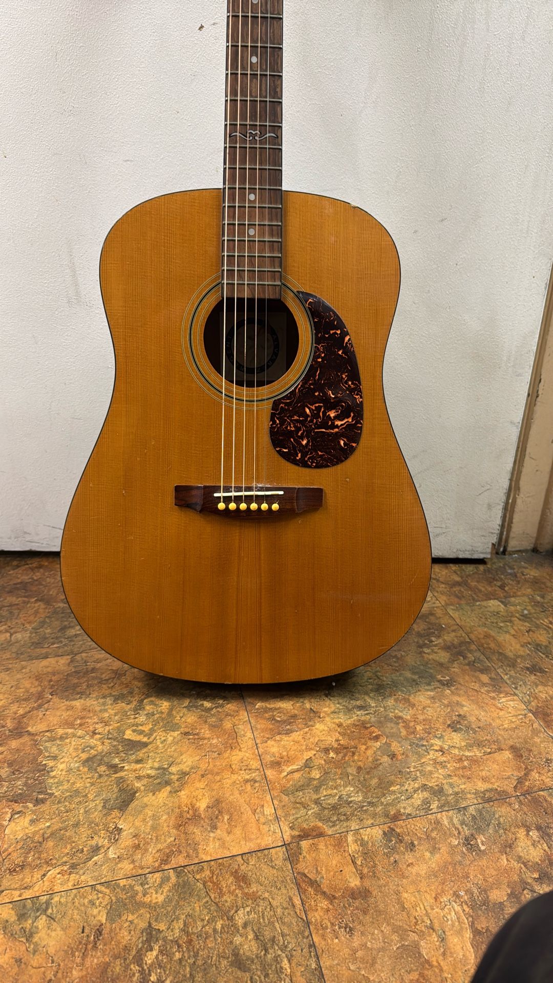Alvarez’s Regent Guitar