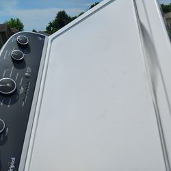 Good World  Pool Washer 