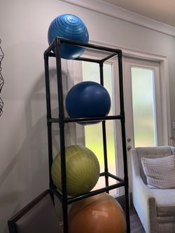 Exercise balls and stand