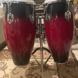 Bongo Drums