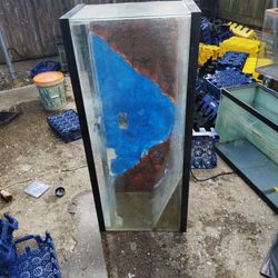 3 Fish Tanks 