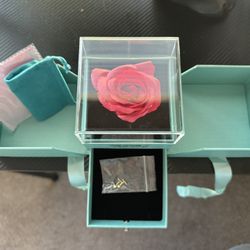 Butterfly Stud Earrings Jewelry Rose Box