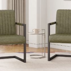 Modern Accent chairs-set of Two