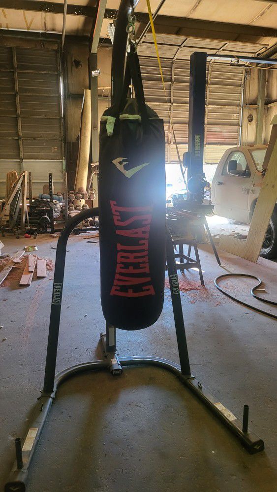 Everlast Boxing Bag With Gloves