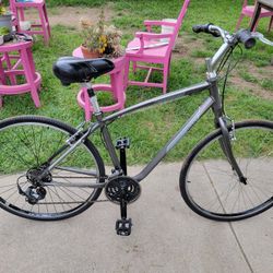 Giant Bicycle 