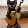 Conga lover
