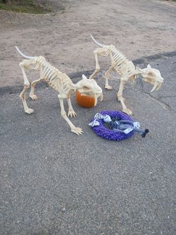 Halloween Decorations