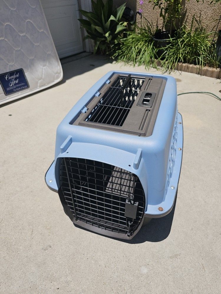 Dog Gets Size 24 Inch Wide $35