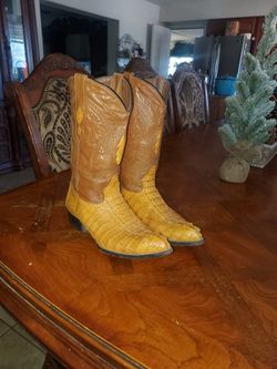 Mens Montana Alligator Boots