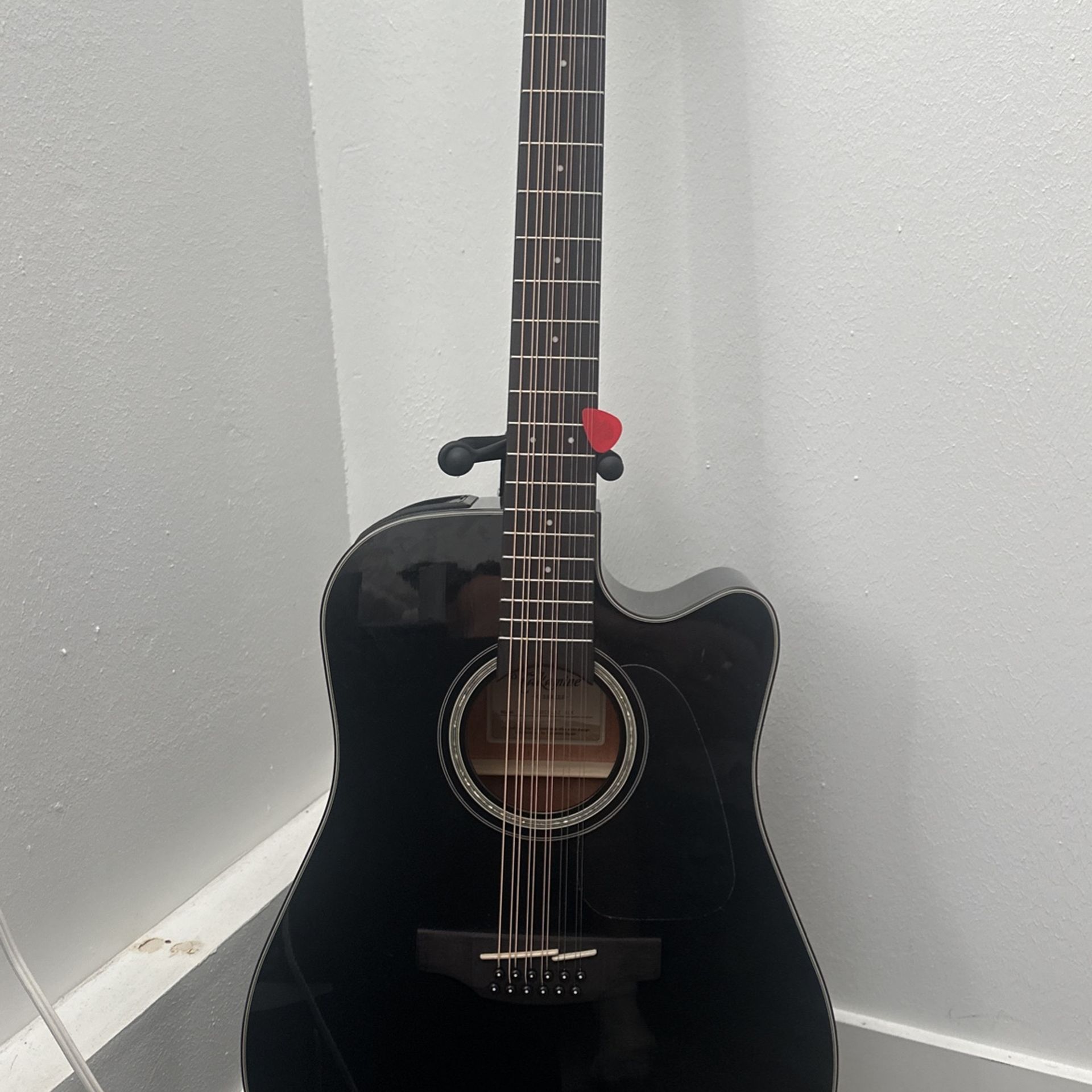 Takamine 12 String G Series