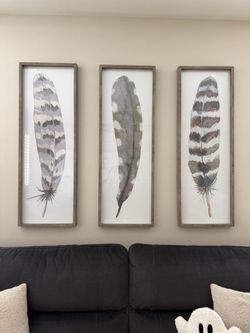 Large wall decor in excellent, like new condition. Set of 3 Feathers🪶Framed art work wall decor with gray toned wooden frame