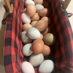 Eggs - Range free 