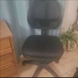 Ergonomic Executive Chair -  Desk Office