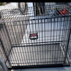 Kong  Extra Large Crate