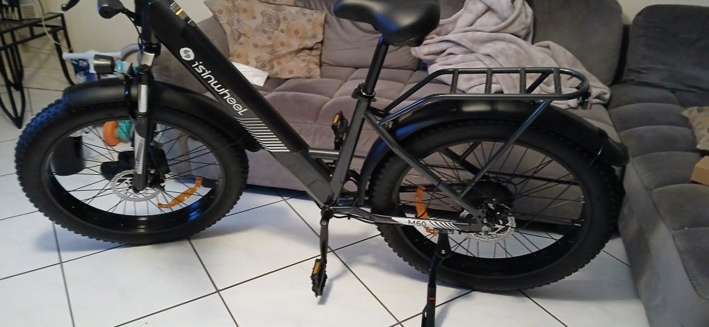 750 Watt E Bike