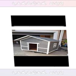 Build the Ultimate Dog Home - Style Plus Comfort Together cover participant