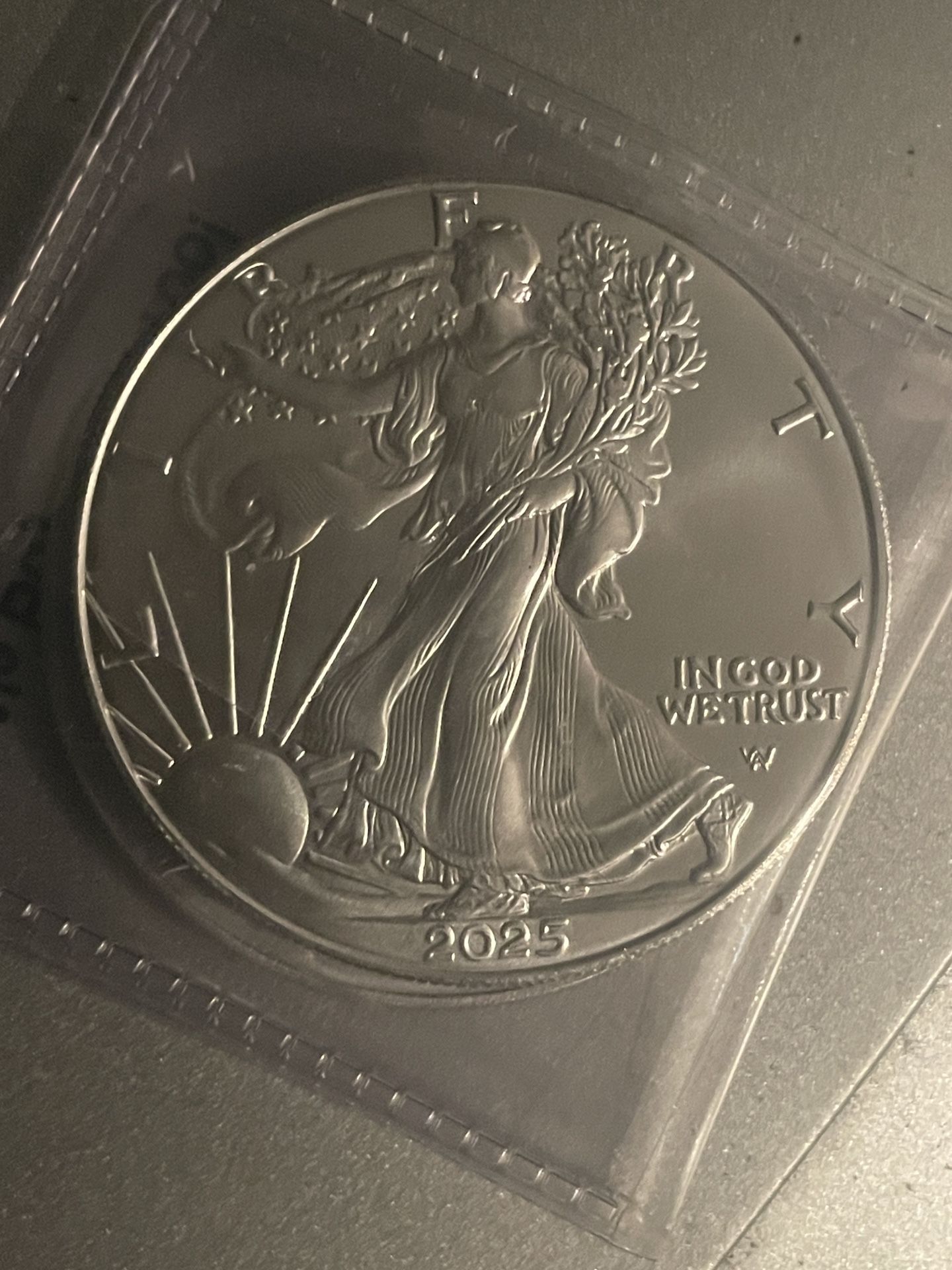 2025 / 2024 American Silver Eagles Coins