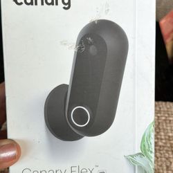 Canary Flex Inside Or Outside, Plugged In Or Wire-Free Camera