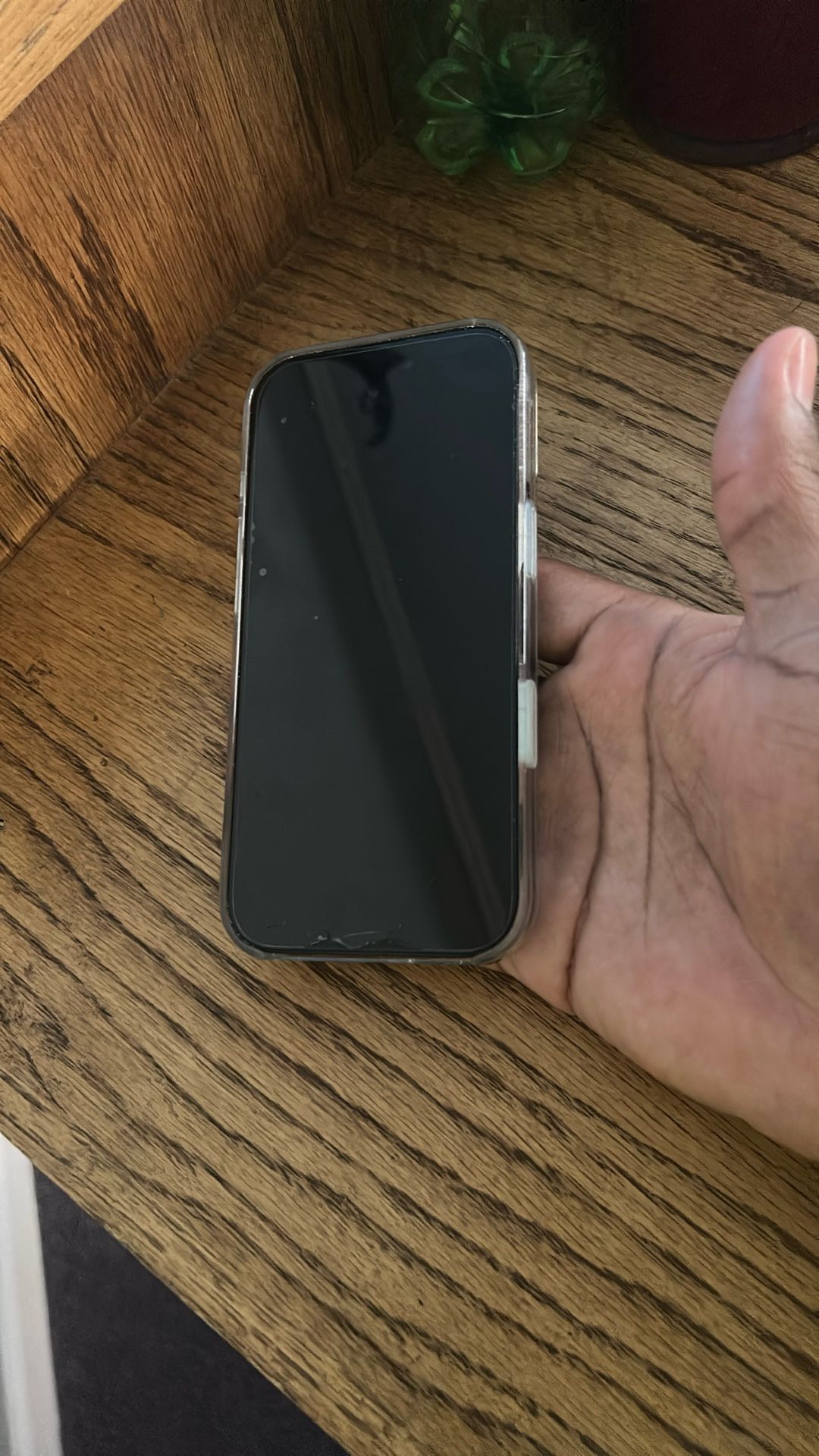 iPhone 16 Pro