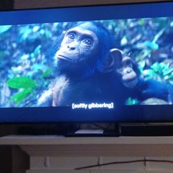 Samsung Qled55in 4k 70A  UHD, W/ BOSE SOUND BAR