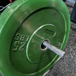 25lb Bumper Plates 