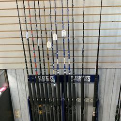 Multiple Fishing Rods