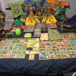 A Large Collection Of Various Vintage Teenage Mutant Ninja Turtles ( TMNT ). From Different Eras From Vintage To Modern Day.