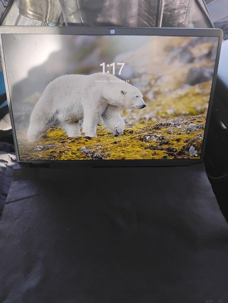 Dell *2025* Windows 11 Pro