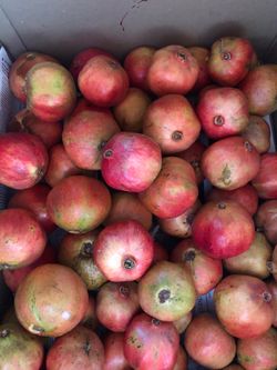 Pomegranate for sale $2.00 each