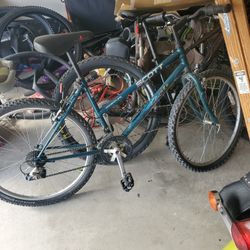 Female Scott Mountain Bike Small